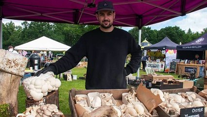 Gallery: Forest Spring Showcase