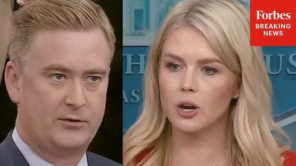 Peter Doocy Asks Karoline Leavitt If Trump Wishes 'He Would Have Just Become A Judge' After Tariffs Struck Down