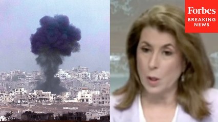 State Department Spokesperson Discusses The Gaza Ceasefire Plan: It Has ‘Significant Promise’