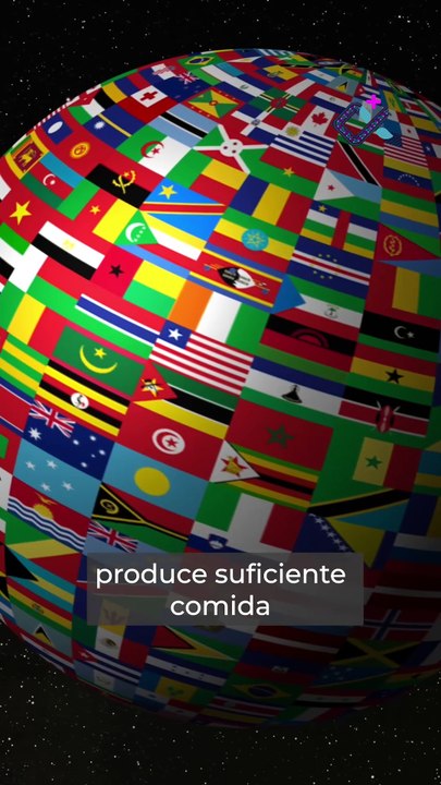 Porque los alimentos se tratan como mercancías, no como derechos.