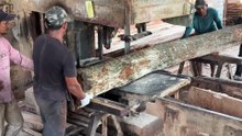 Wood Cutting Process 5x10 with Modern Sawmill Machine