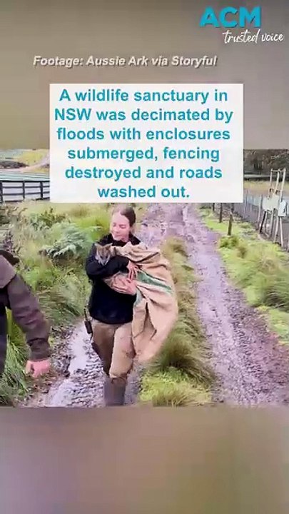 Aussie wildlife return home as flood recovery begins for wildlife sanctuary