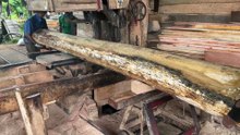 Using a Sawmill Machine for 2x20 Boards Process from Start to Finish