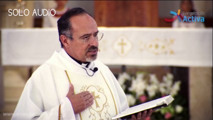Homilía”¿Dónde estas buscando a Jesús