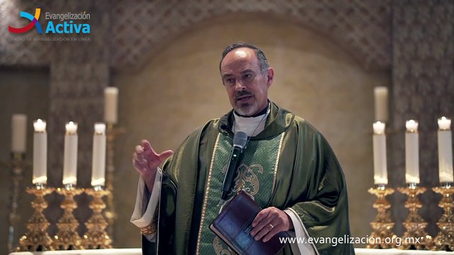 Homilía ¿Somos propietarios o somos extraños