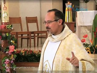 Homilía Encuentro con los decepcionados