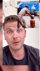 Funny Animal Videos - Funniest Kittens - Cats And