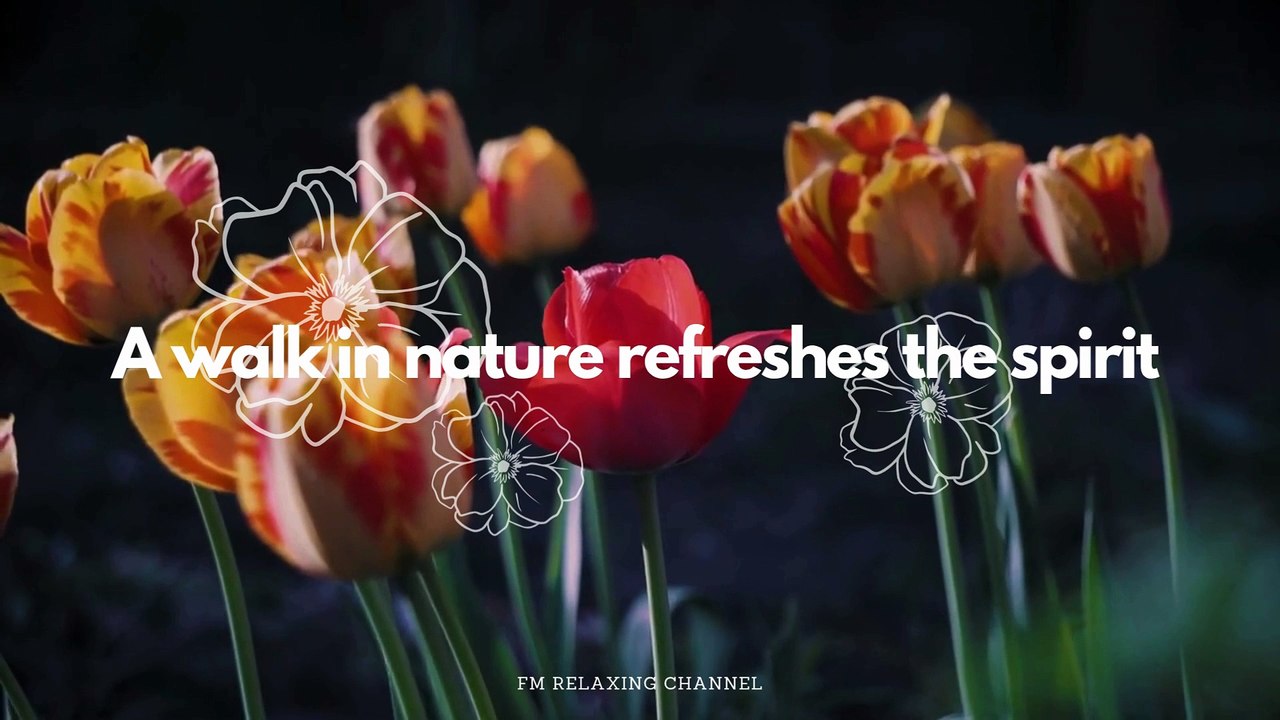 Peaceful Piano Music - For Healing Stress, Anxiety, Depressive States, Body & Soul Calming Music