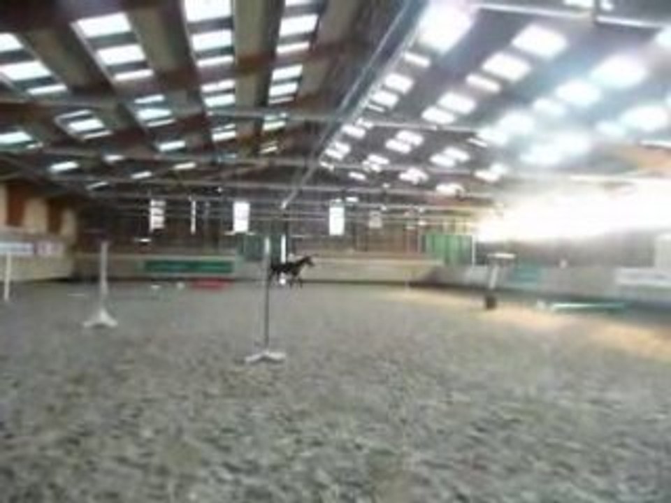 Cheval Vanessa2