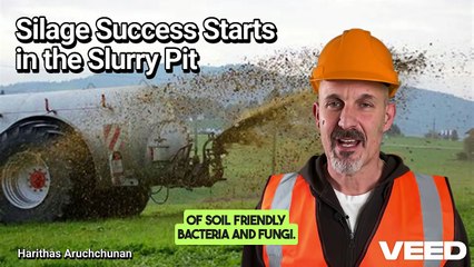 Microbial Magic:Silage Success Starts in the Slurry Pit