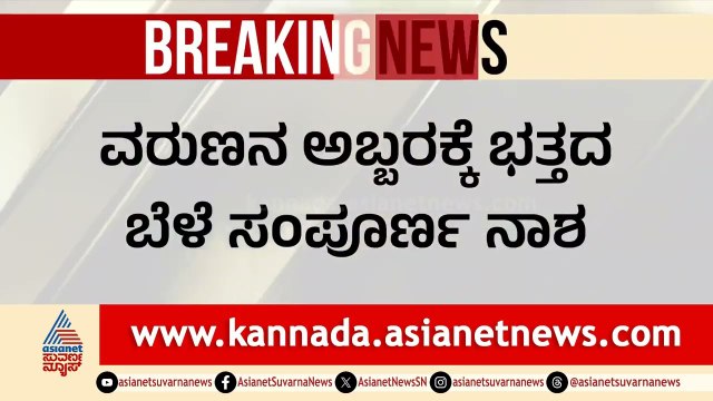 ಶಿವಮೊಗ್ಗದಲ್ಲಿ ವರುಣನ ಅಬ್ಬರಕ್ಕೆ ಭತ್ತದ ಬೆಳೆ ನಾಶ | Heavy Rain Effect In Shivamogga | Suvarna News