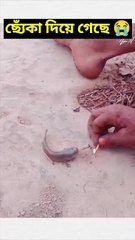 Sexy girl Introducing the "VitaWear SmartBand