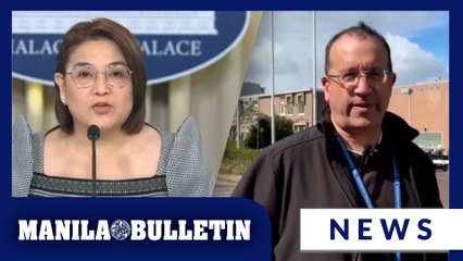 Palace tells Duterte lawyer: Focus on your job, not fake news