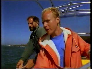 Great White Shark-The True Story of Jaws