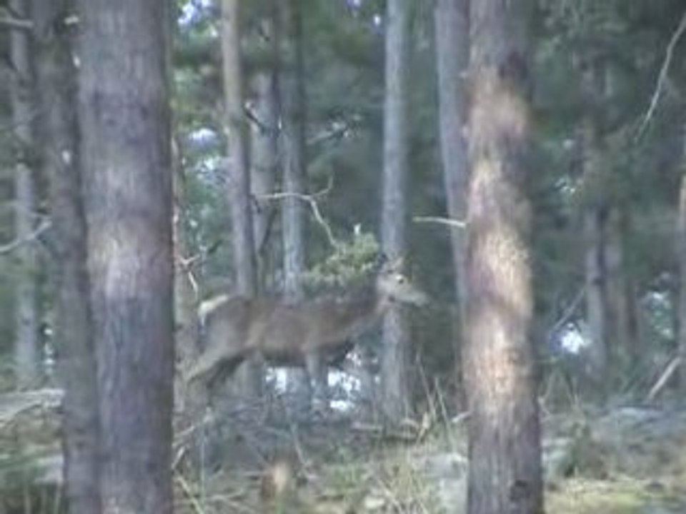 Un merdredi après-midi