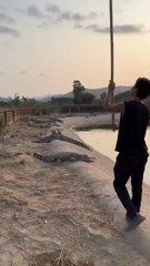 wakeup time good morning 🌞