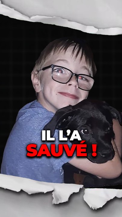 Il a tout tenté !