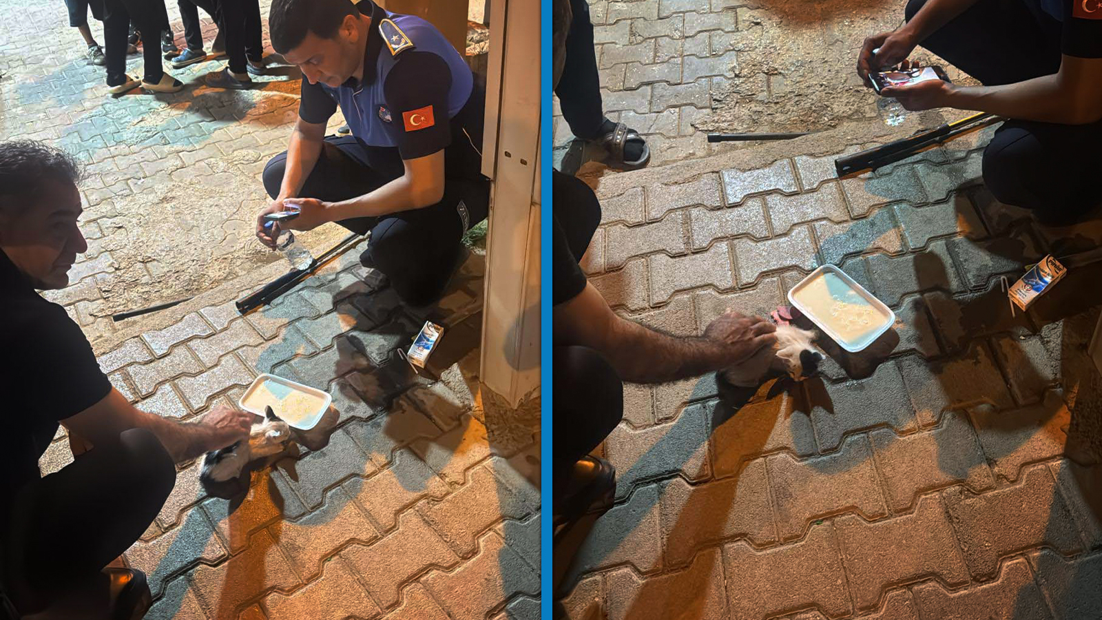 Reklam panosunda mahsur kalan yavru kediyi zabıta ekipleri kurtardı
