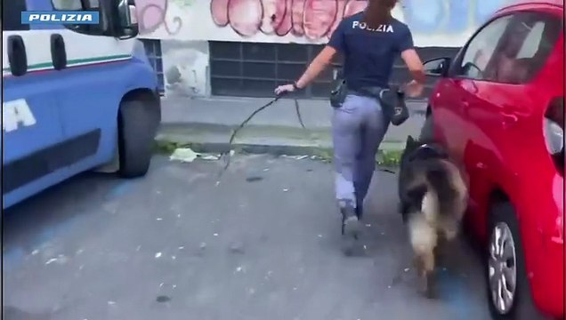 Catania, cani poliziotti trovano 3 chili e mezzo di droga in un garage