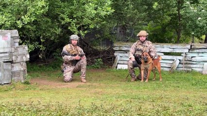 Le drone, laisse invisible pour guider les chiens militaires