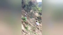 以为是王者…结果连青铜都算不上！