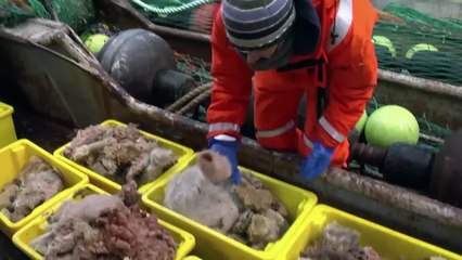 Expedition Antarctica _ Free Documentary