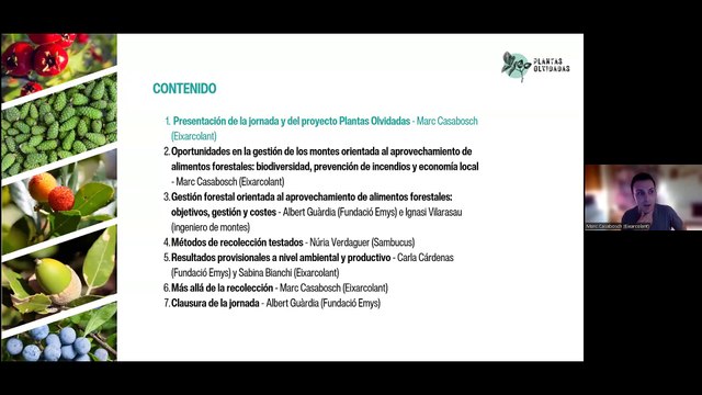 Plantas Olvidadas - Seminario web Bioeconomía y alimentos forestales
