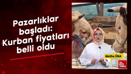 Pazarlıklar başladı: Kurban fiyatları belli oldu