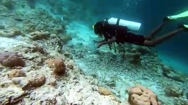 Baa Atoll 🌴 Teaching Dreams & Island Life in the Maldives 🇲🇻 [4K]