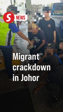 114 undocumented migrants held in raids on Johor factories