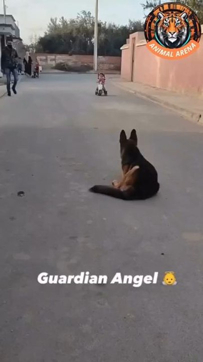 the saving angel 😇