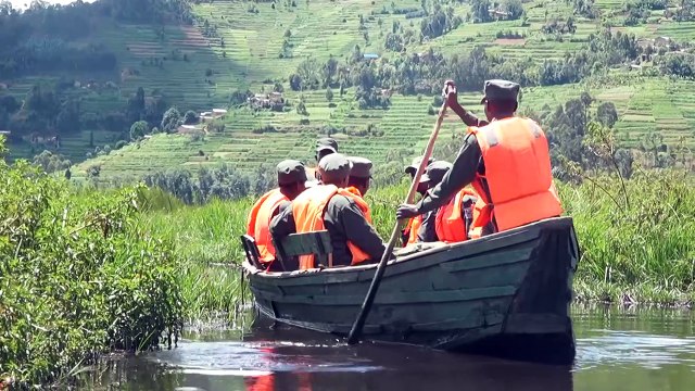 Grey Crowned Cranes return to Rwanda thanks to conservation efforts