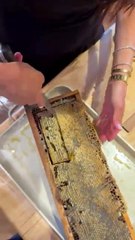 La duquesa de Sussex y su hija Lilibeth enfocadas en una actividad insólita.