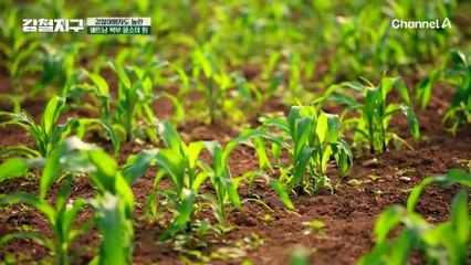 "너랑 와서 더 값져♥" 베트남 북부 하늘길을 따라 천 개의 산을 넘다!
