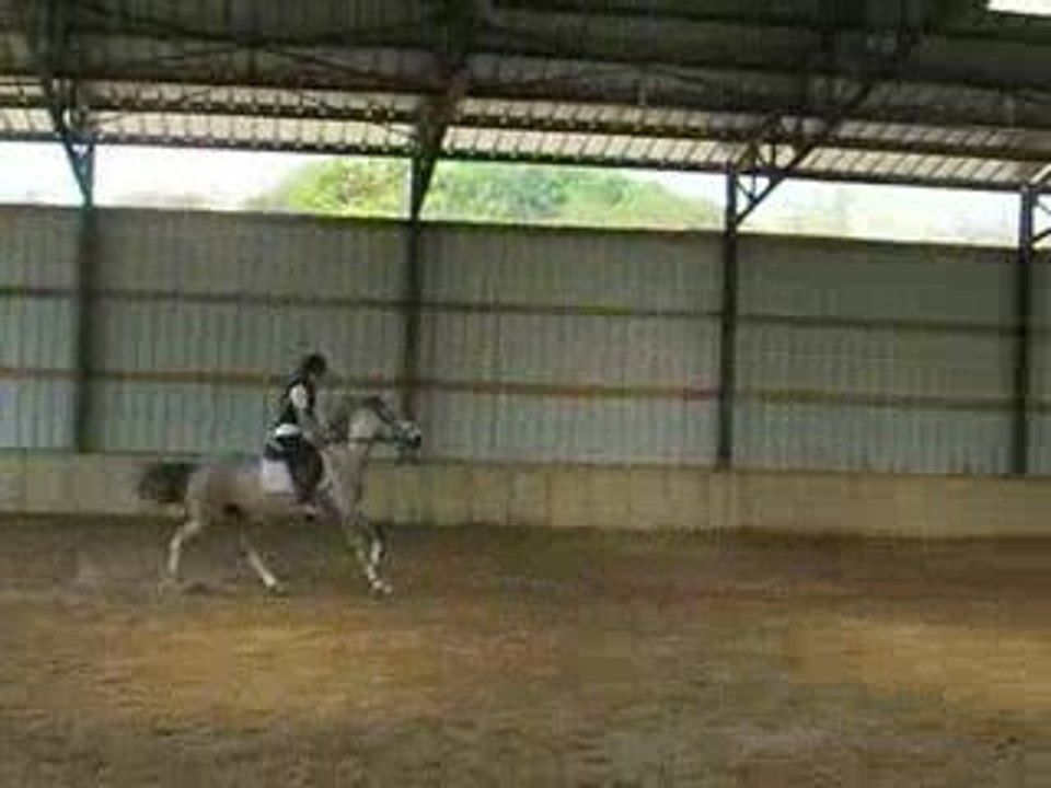 Mambo "Galop"