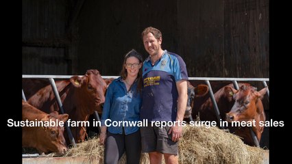 Sustainable farm in Cornwall reports surge in meat sales