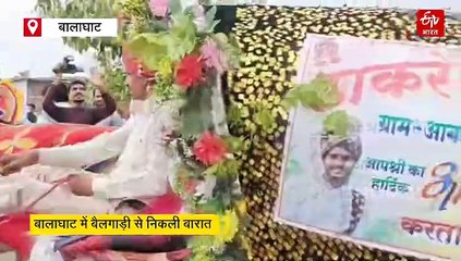 बालाघाट में दूल्हे ने शादी में ले लिया बड़ा फैसला, दुल्हन को लाने बैलगाड़ी पर चल दिया