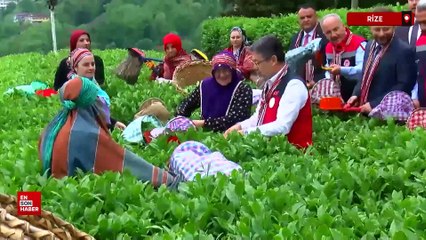 Bakan Yumaklı: İklim değişikliğinin çayda korktuğumuz etkisi olmadı