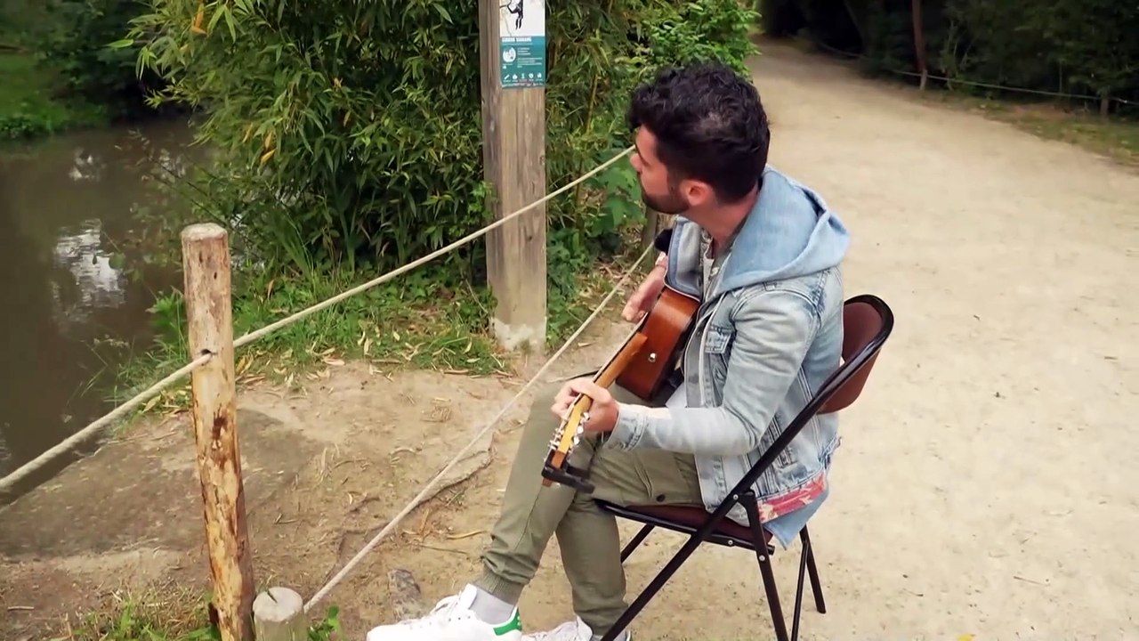 A experiência musical no jardim zoológico francês tem como objetivo melhorar o comportamento dos animais