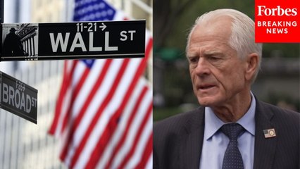 Peter Navarro Blasts Dems, 'RINO Wall Street People' For Back-And-Forth On Tariffs After Court Ruling