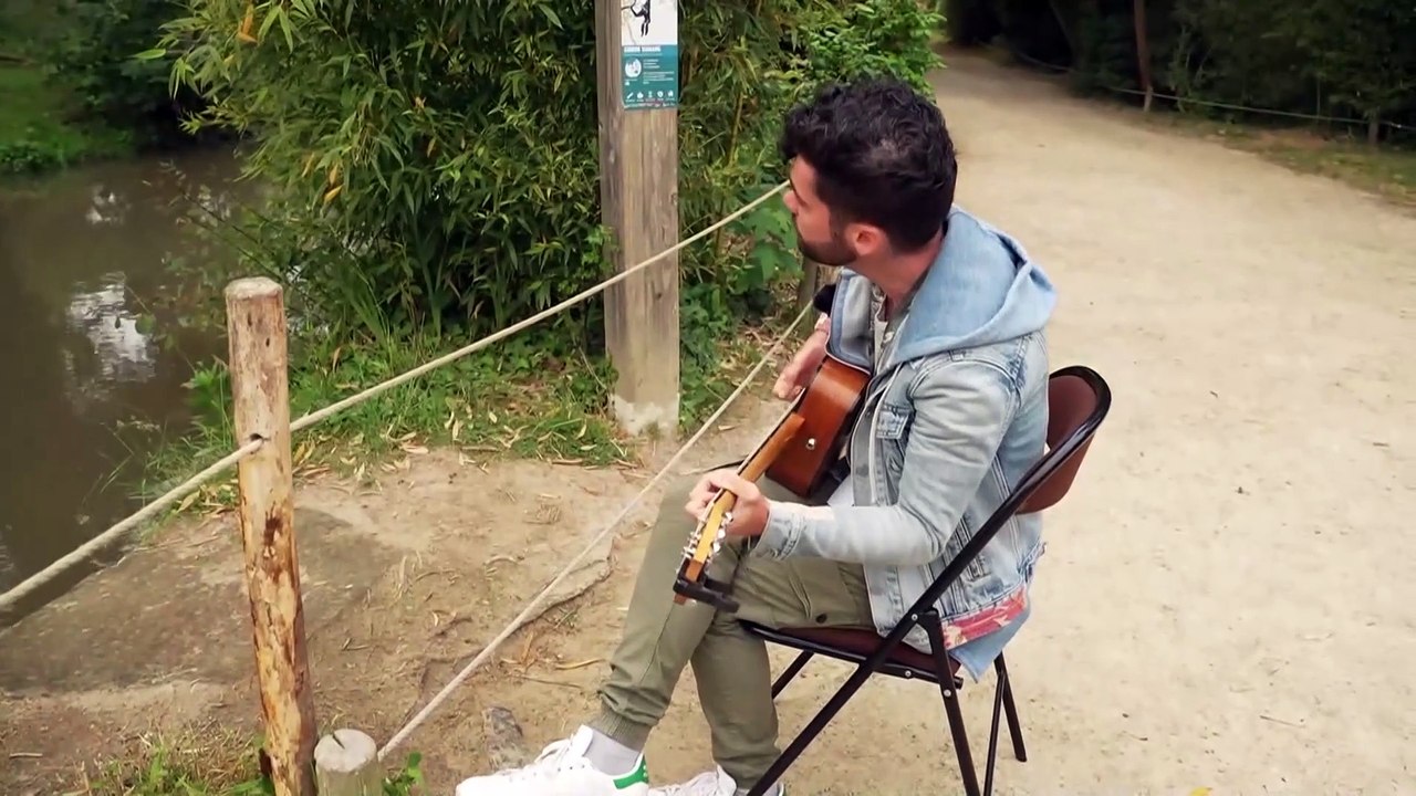 Musikexperiment im französischen Zoo soll Verhalten der Tiere verbessern