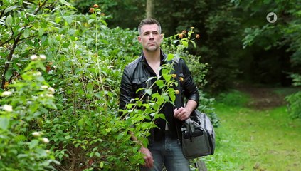 Sturm der Liebe 4429 folge