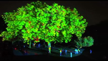 India, "Locus Amoenus": un giardino incantato all'ambasciata italiana