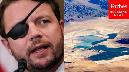Dan Crenshaw Asks Experts About 'Untapped' Critical Mineral Deposits In The United States