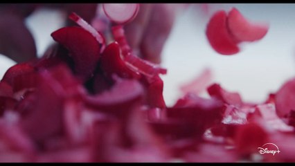 O Urso (4ª Temporada) | Trailer Legendado