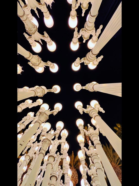 Urban Lights, Los Angeles: The Hidden Gem You Can’t Miss!