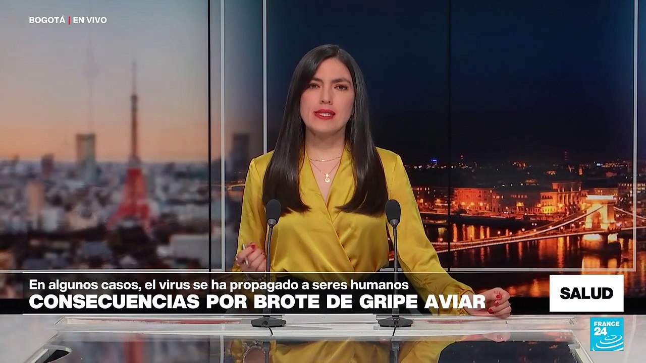 ¿Cuál es el origen de la gripe aviar y cuáles son las consecuencias en los humanos?