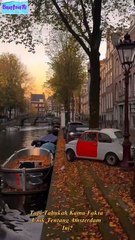 🎬3 Fakta Mengejutkan Tentang Amsterdam