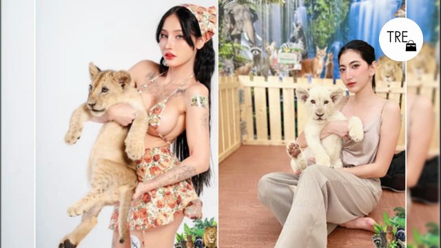 Los cachorros de león son las últimas víctimas del postureo en redes. Así se está explotando a estos animales salvajes en Tailandia