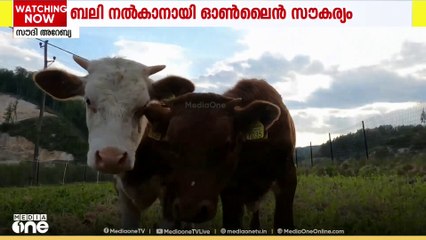 ഹജ്ജുമായി ബന്ധപ്പെട്ട് ബലി നൽകാൻ ഓൺലൈൻ സൗകര്യമൊരുക്കി സൗദി; സംവിധാനം ഇഹ്‌സാൻ പ്ലാറ്റ്‌ഫോം വഴി